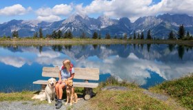 Viaggi pet friendly, le migliori destinazioni in Europa