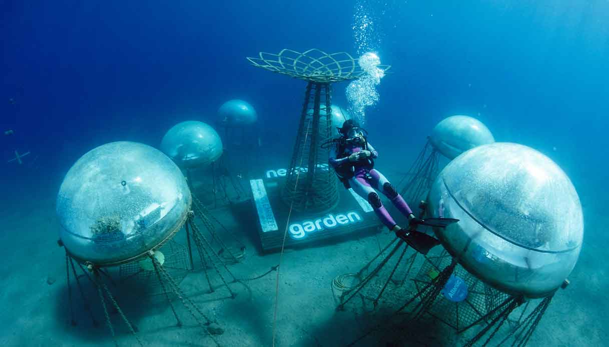 nemo-s-garden-giardino