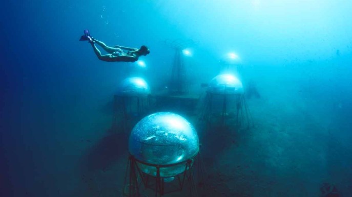 Nemo’s Garden, il giardino più bello del mondo è in Italia