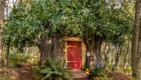 Puoi dormire nel Bosco dei Cento Acri con Winnie the Pooh