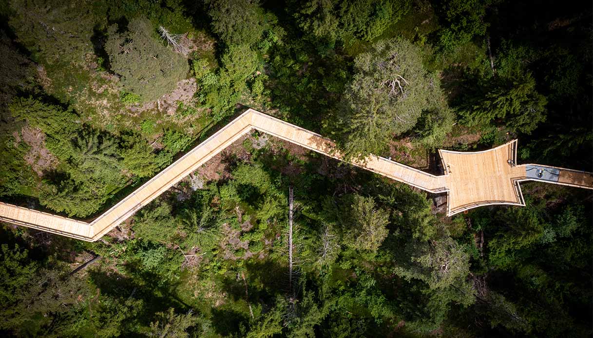 Senda dil Dragun, un dettaglio della passerella sopra gli alberi