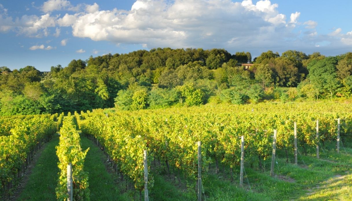 La strada del vino in Franciacorta, fra vigneti e castelli