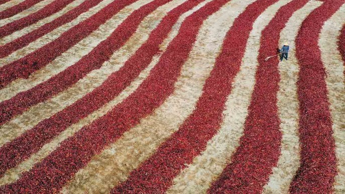 La terra di Bohu si tinge di rosso: è spettacolare