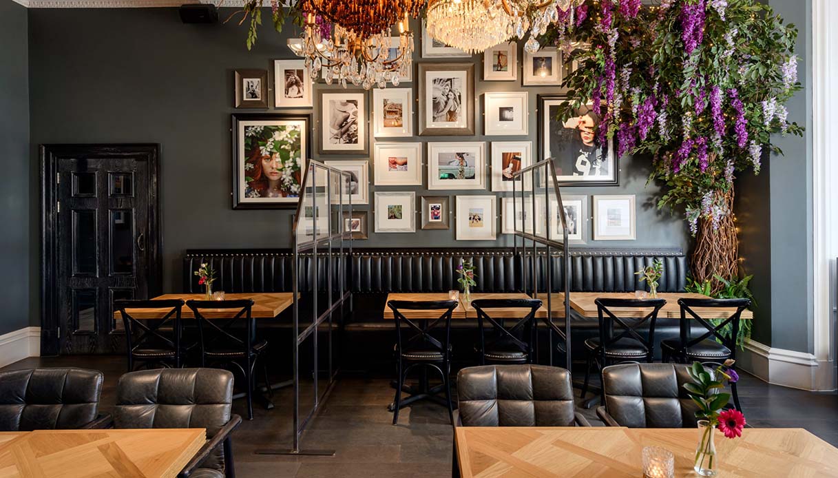 Black Ivy, Edinburgh