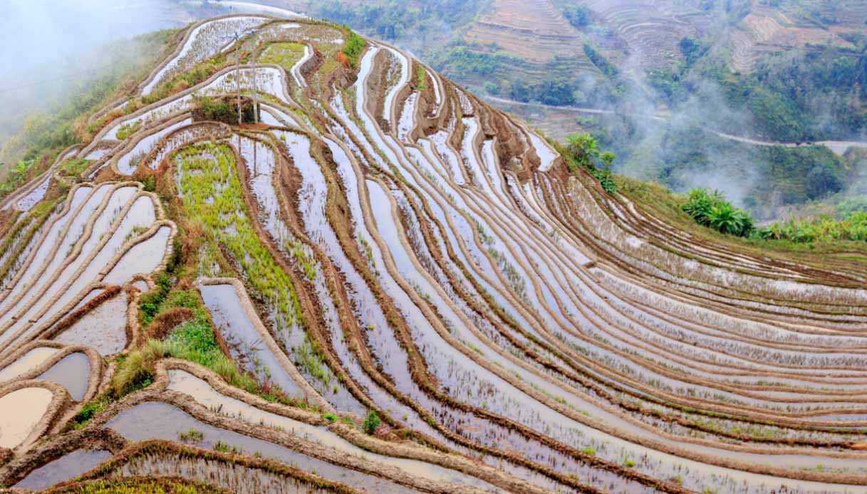 Terrazze di riso Honghe Hani
