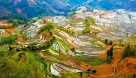 Stairway to Heaven: le scale per il paradiso in Cina