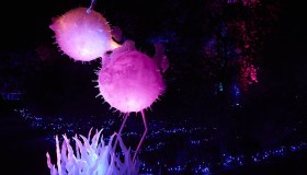 Madrid: il parco marino magico e incantato