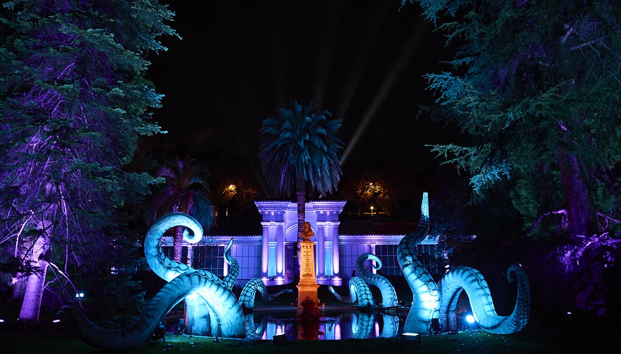 Naturaleza Encendida, The Royal Botanic Garden. Madrid