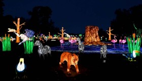 Vicino Parigi c’è una foresta magica fatta di luci e colori