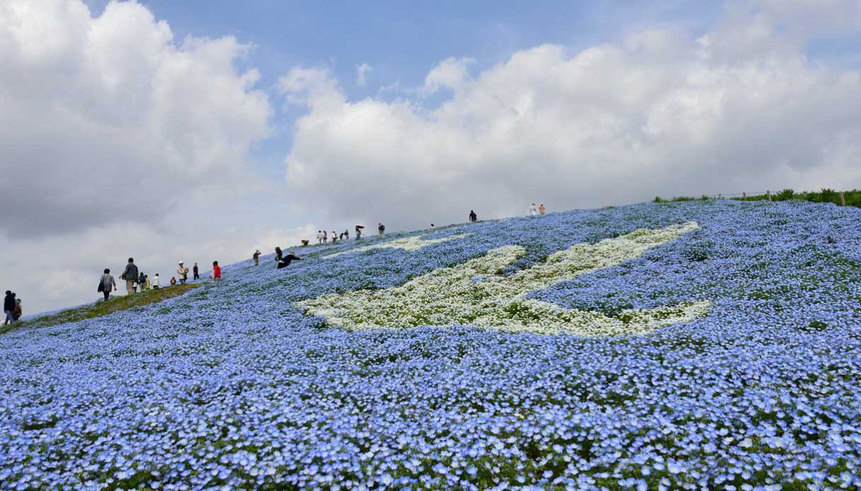 Miharashi hill