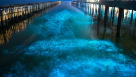 Ad ammirar le stelle nel mare