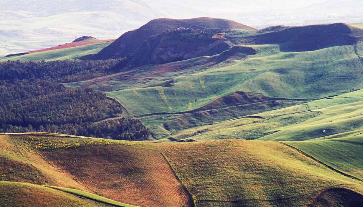 contessa-entellina-sicilia