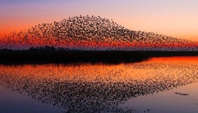 Il meraviglioso fenomeno del Sole Nero che lascia senza fiato