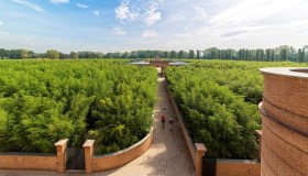 Perdersi in un labirinto di bambù: succede in Italia