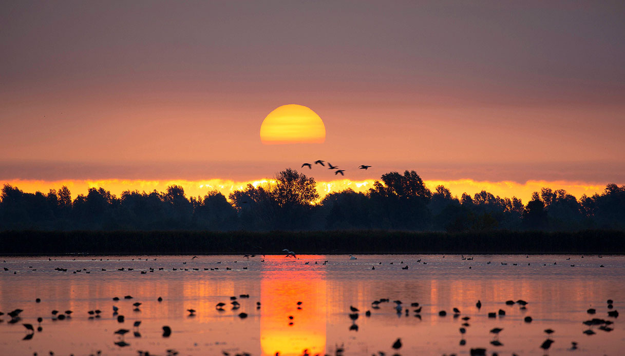 Parco Nazionale del Lauwersmeer