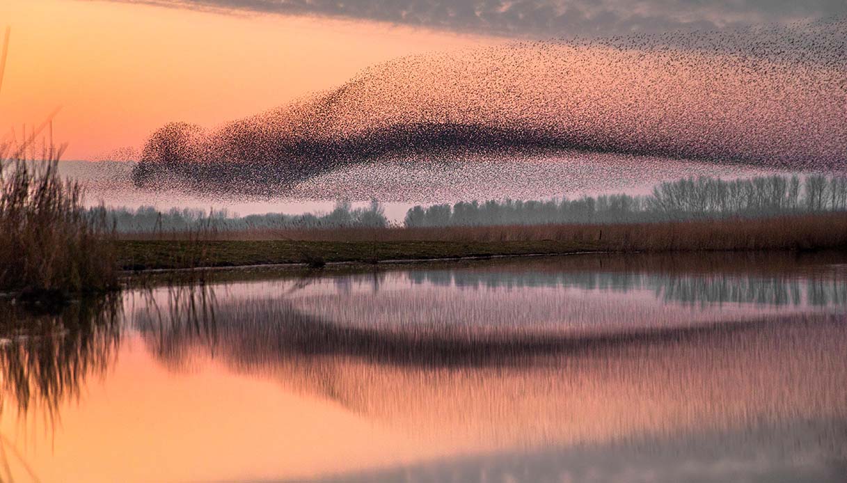 Parco Nazionale del Lauwersmeer