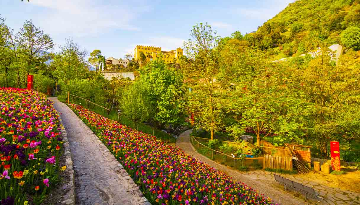 Tulipani a Castel Trauttmansdorff_