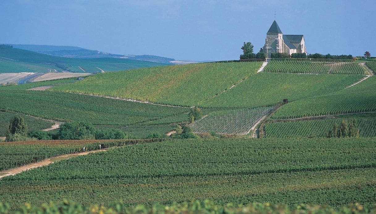 Vigneti di Épernay: il paesaggio fiabesco dello CHampagne
