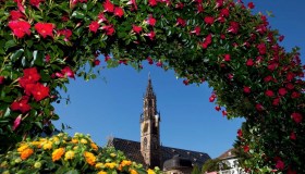 A primavera questa città si riempie di fiori (ed è una meraviglia)