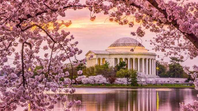 Festival di primavera da vivere: un’esplosione di colori e profumi