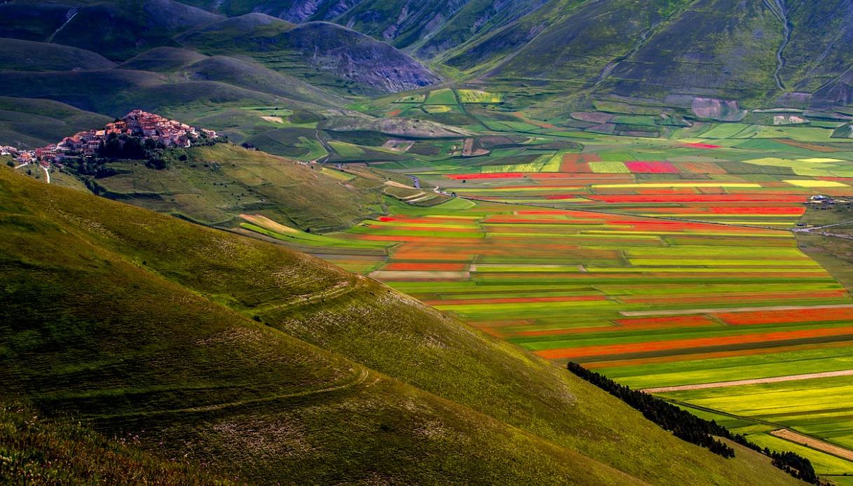 Castelluccio di Norcia, fioritura