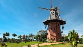 C’è una piccola Olanda dall’altra parte del mondo piena di tulipani