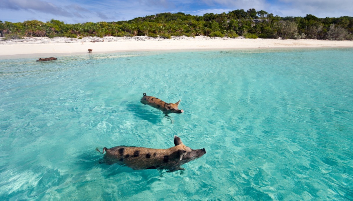 Exuma