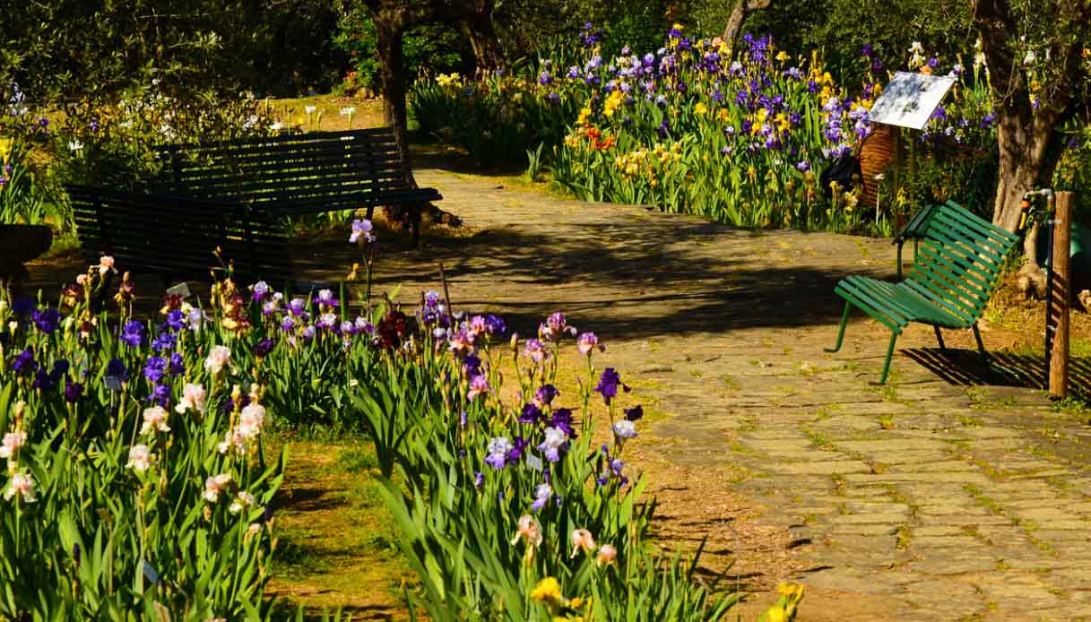 Giardino dell'Iris, Firenze