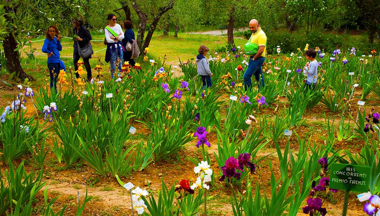 Giardino dell'Iris, Firenze