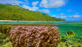 Rurutu: l’isola emersa dalle acque è un sogno da vivere