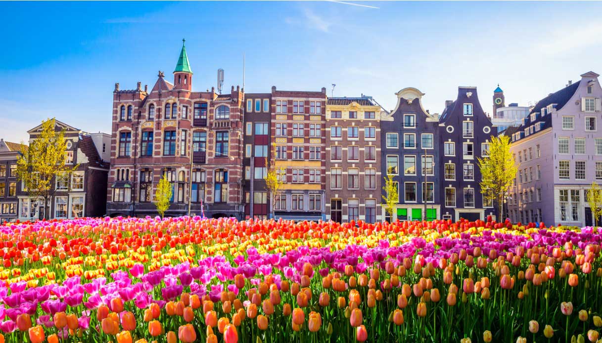 Tulp Fest, Amsterdam