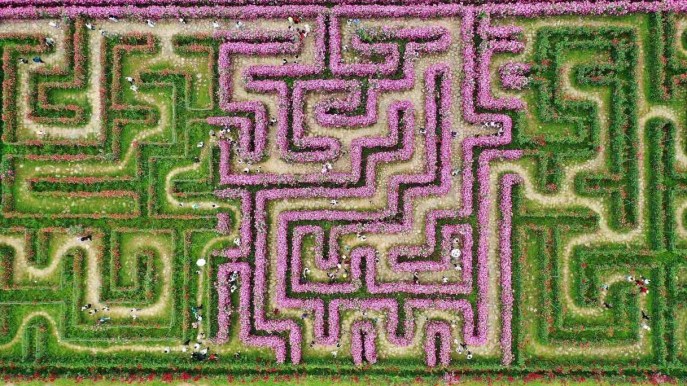 Perdersi in un labirinto di fiori: abbiamo trovato il più bello