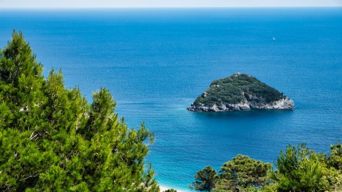 Alcune delle più belle immersioni d’Italia si fanno in questo mare