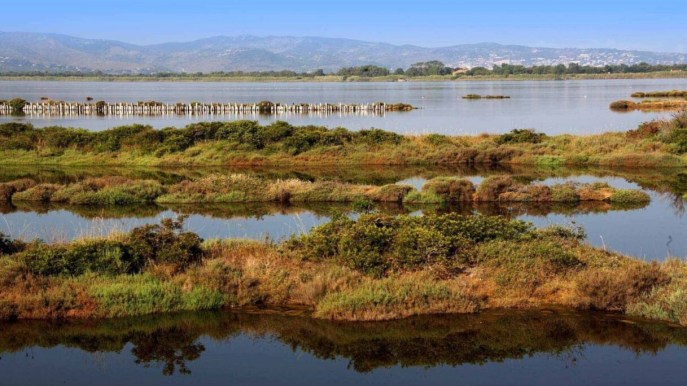 Le più belle Oasi del WWF che si possono visitare