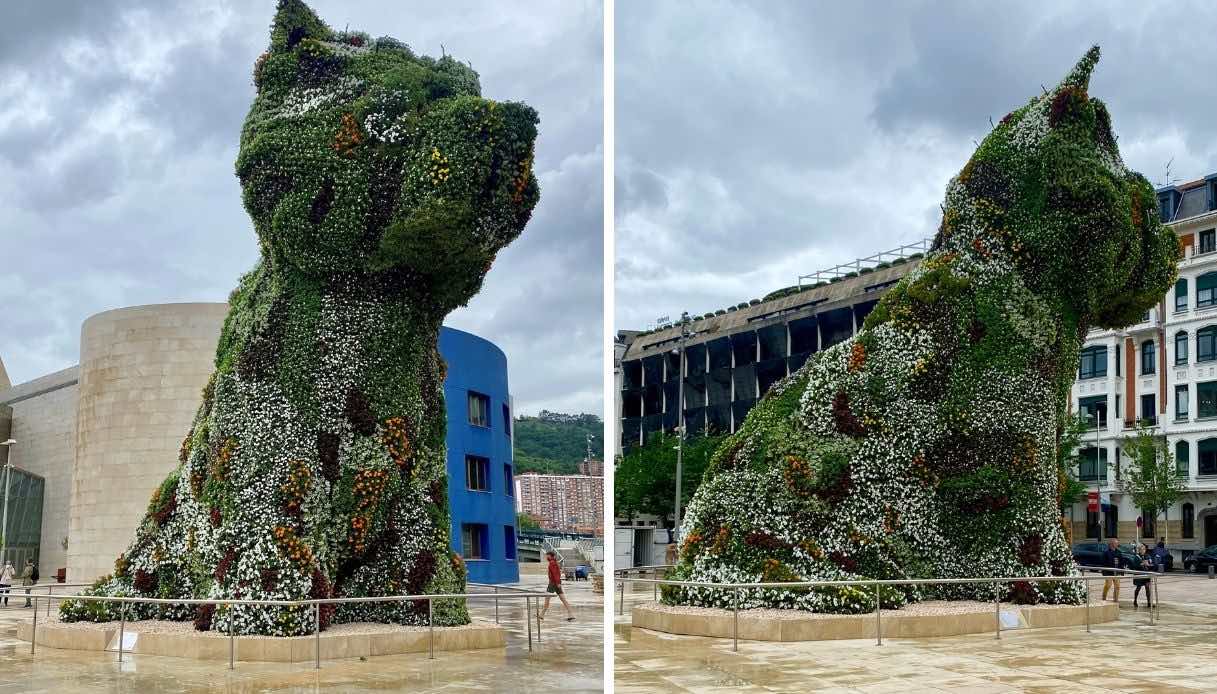 Puppy in occasione del 25° anniversario