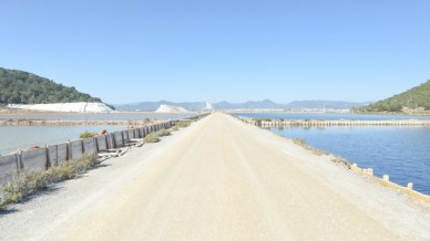 Tra fenicotteri, sale e mare cristallino ti innamorerai (di nuovo) di Ibiza