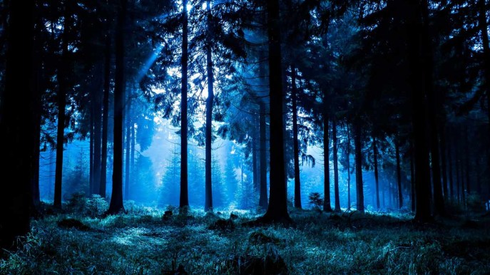 Lumina Milia, il sentiero che si può percorrere di notte
