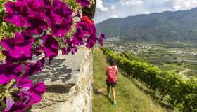 Nasce un nuovo cammino alla scoperta di luoghi incantevoli