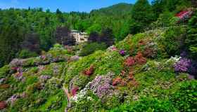 Abbiamo trovato la fioritura più bella d’Italia