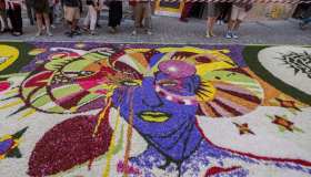 Un’esplosione di colori e profumi sta per invadere in questo borgo