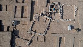 Una nuova e incredibile scoperta lascia tutti senza fiato