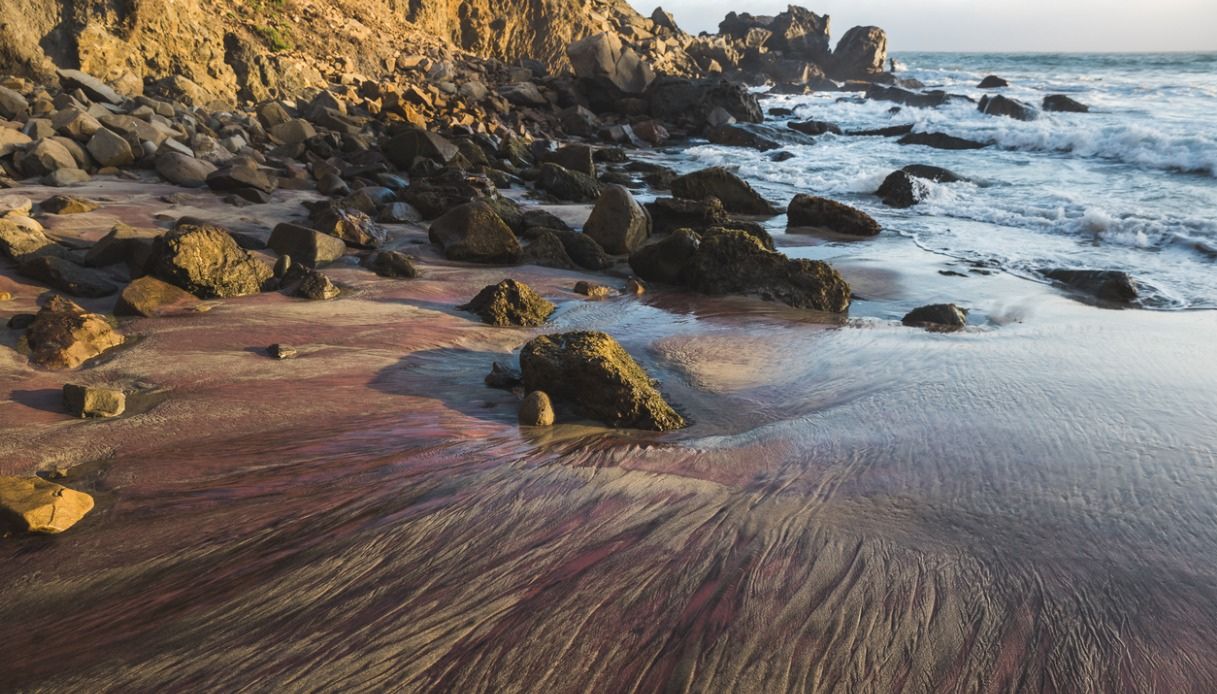 Pfeiffer beach