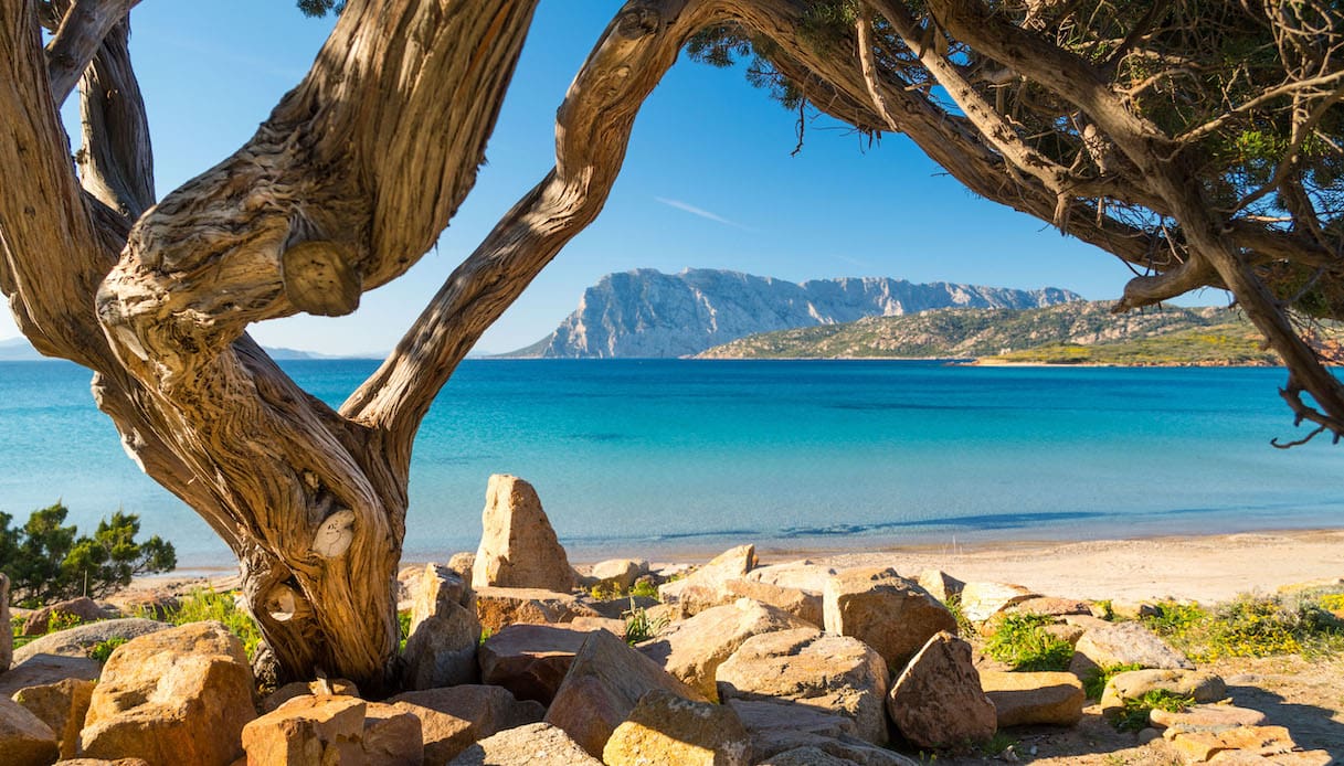 Vacanze estive in Italia con i bambini: le destinazioni top