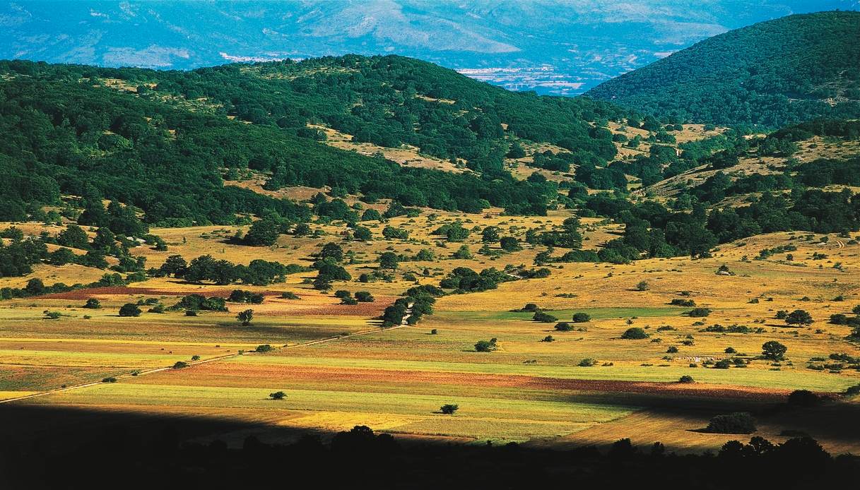 In Italia è nato un sentiero per conoscere e rispettare gli orsi