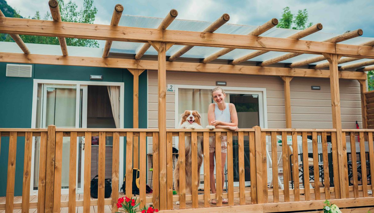 Idro Cottage Next XL Dog