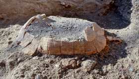 In Italia è avvenuta un’altra scoperta sensazionale