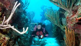 Honduras: 10 cartoline dal mondo sommerso