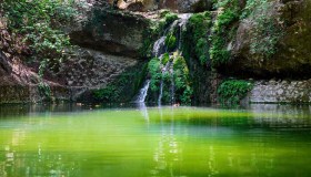 La valle dove d’estate svolazzano milioni di farfalle