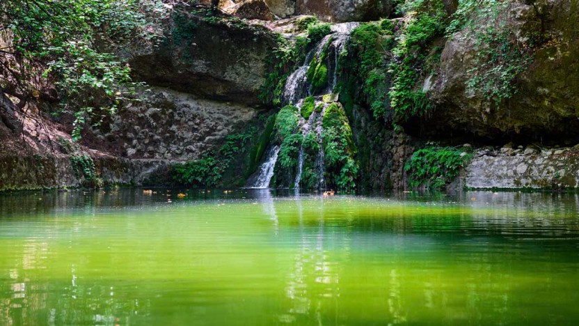 La valle dove d’estate svolazzano milioni di farfalle