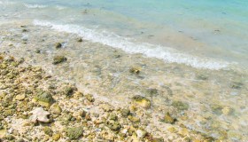 Sembra una spiaggia come un’altra. In realtà è formata da milioni di stelle